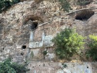 IMG_3455.jpeg