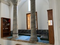 IMG_3451.jpeg