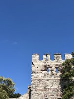 IMG_3449.jpeg