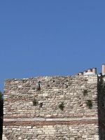 IMG_3446.jpeg