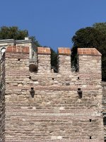 IMG_3448.jpeg