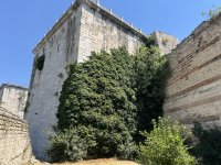 IMG_3511.jpeg