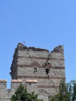 IMG_3519.jpeg