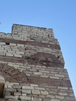 IMG_3498.jpeg