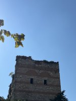 IMG_3490.jpeg