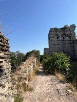 IMG_3487.jpeg