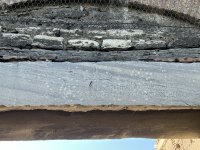 IMG_3481.jpeg