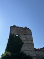 IMG_3483.jpeg