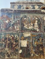 IMG_6177.jpeg