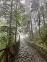 IMG_6226.jpeg