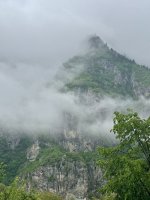 IMG_6238.jpeg