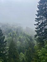 IMG_6261.jpeg