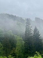 IMG_6266.jpeg