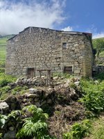 IMG_6338.jpeg