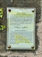 IMG_6523.jpeg