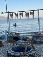 IMG_0071.jpeg