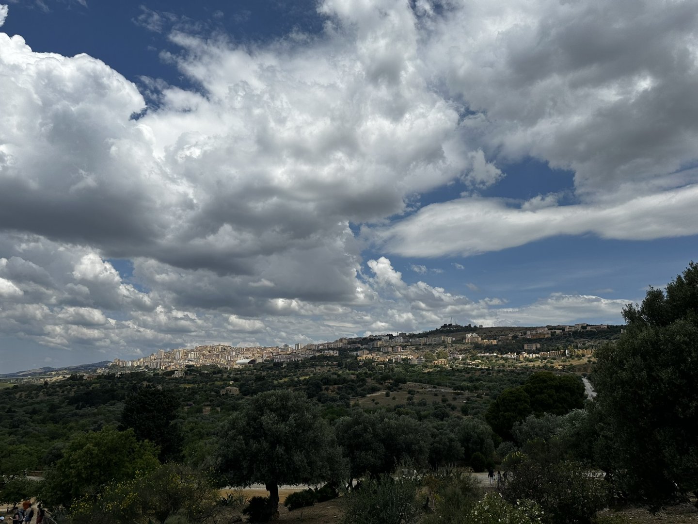 IMG_1787.JPEG