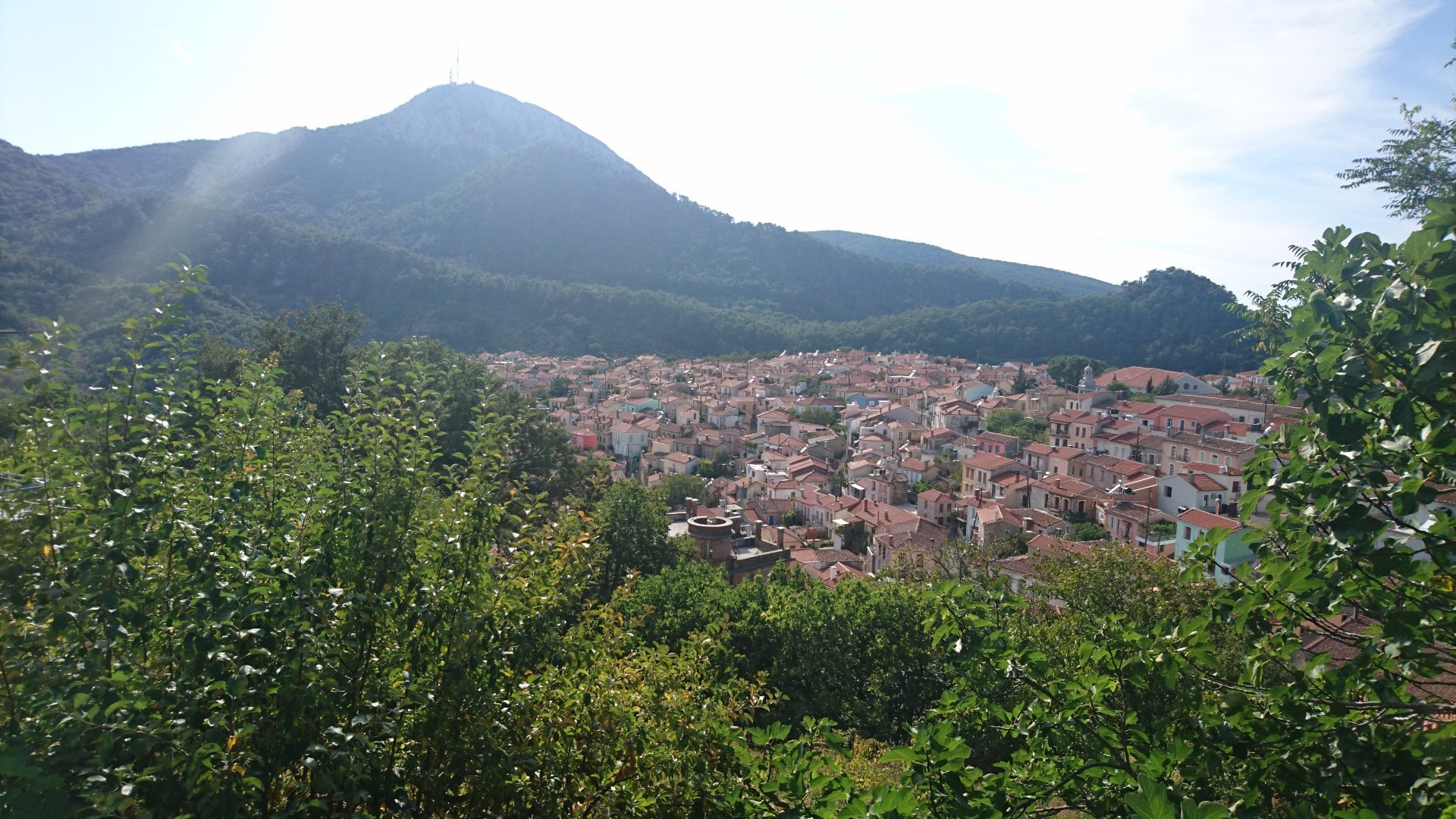 DSC_0900.JPG