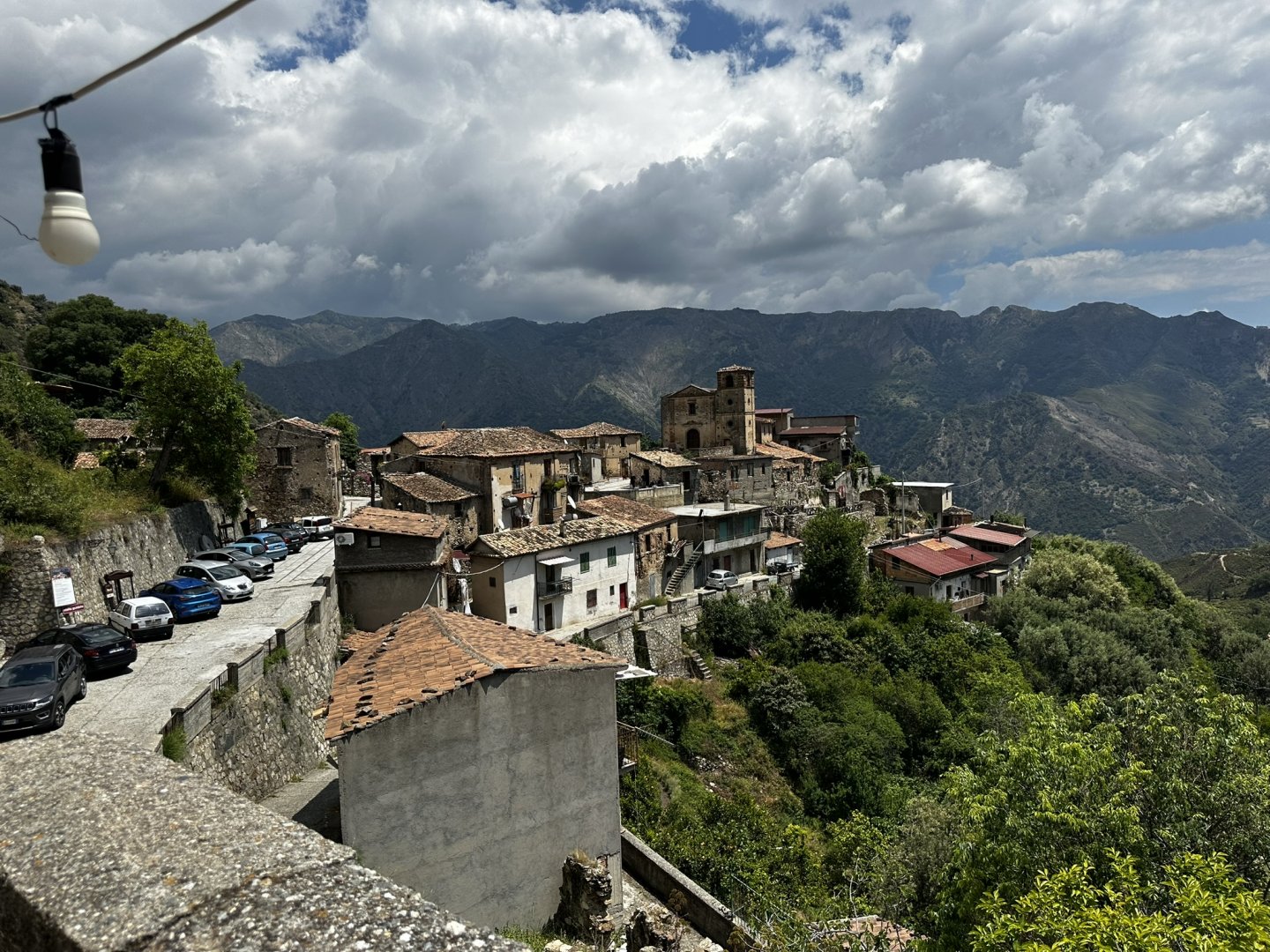 IMG_1901.JPEG