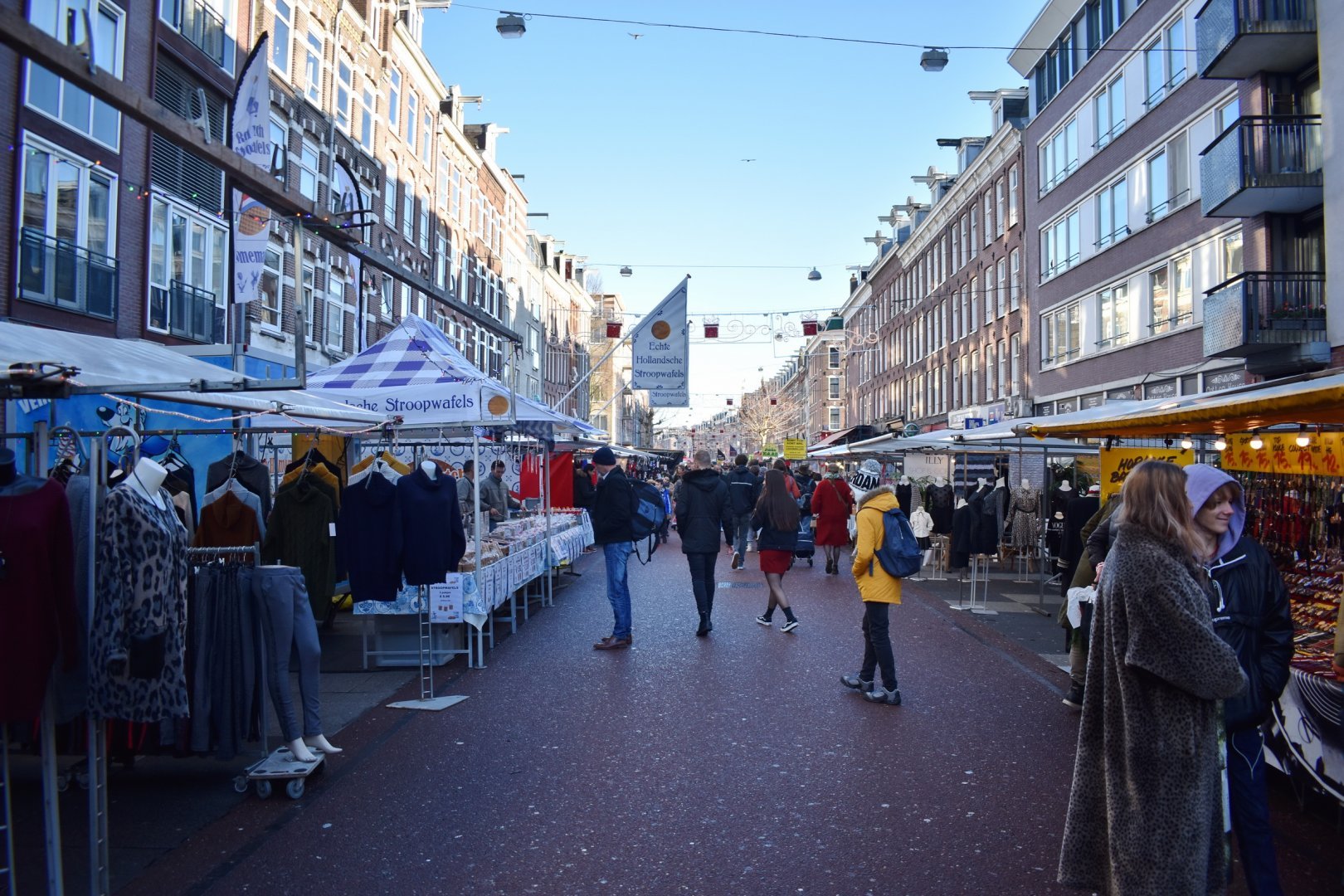 DSC_1000db.JPG