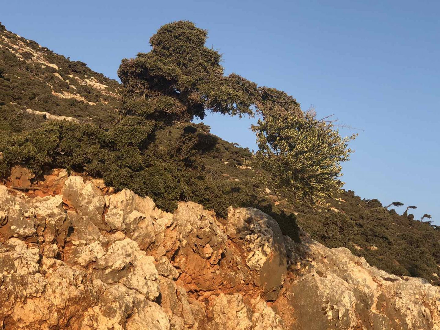 εικόνα_Viber_2025-08-13_20-36-05-306.jpg