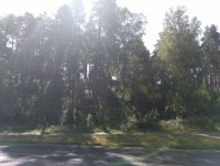 IMG_20250806_114318.jpg