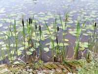 IMG_20250806_121815.jpg