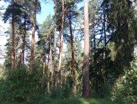 IMG_20250806_123526.jpg