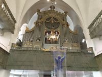 IMG_20250806_132221.jpg