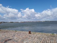 IMG_20250807_131421.jpg