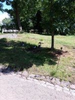 IMG_20250807_133747.jpg