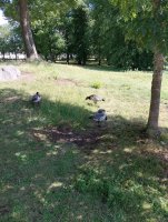 IMG_20250807_133752.jpg