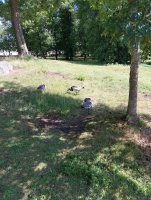 IMG_20250807_133754.jpg