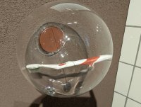 IMG_20250808_175633.jpg