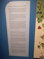 IMG_20250808_175702.jpg
