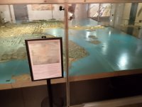 IMG_20250808_182054.jpg