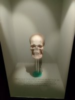 IMG_20250808_182243.jpg