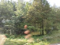 IMG_20250809_100823.jpg