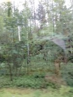 IMG_20250809_102911.jpg