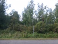 IMG_20250809_111147.jpg