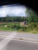 IMG_20250809_111727.jpg