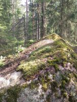 IMG_20250809_113647.jpg