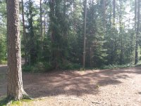 IMG_20250809_114502.jpg