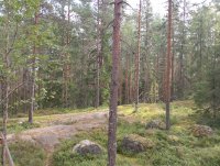IMG_20250809_121027.jpg