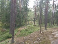 IMG_20250809_121029.jpg