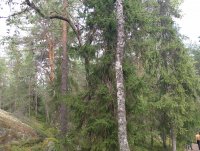 IMG_20250809_121031.jpg