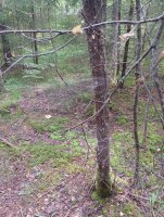 IMG_20250809_122241.jpg