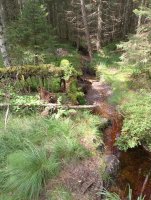 IMG_20250809_122830.jpg