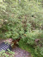 IMG_20250809_122837.jpg