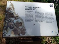 IMG_20250809_124653.jpg